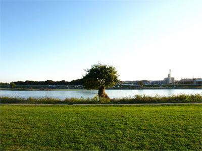 071028Tamagawa02.jpg