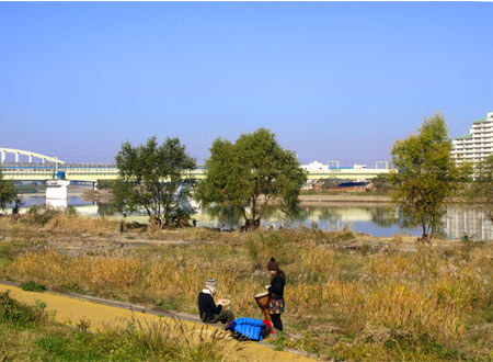 071125Tamagawa01.jpg