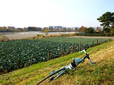 071202Tamagawa01.jpg