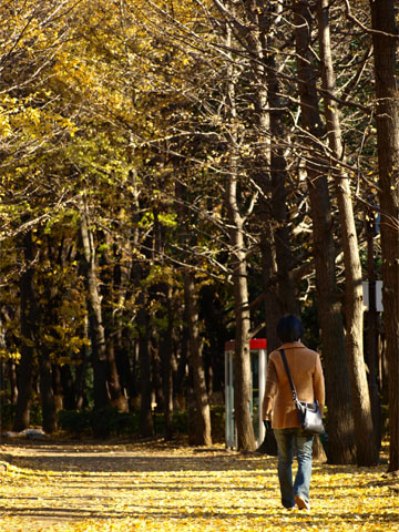 071209Hanegi03.jpg