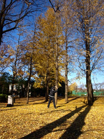 071209Hanegi04.jpg