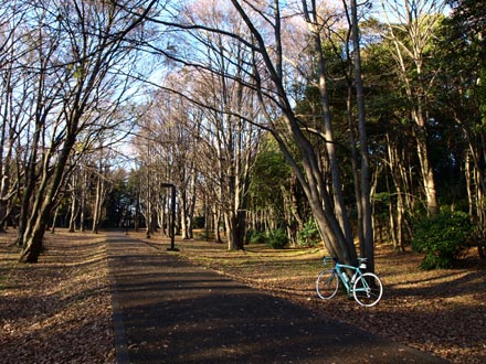 071224Nalsima04.jpg