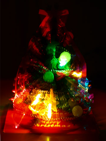 071225Tree01.jpg