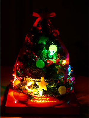 071225Tree02.jpg