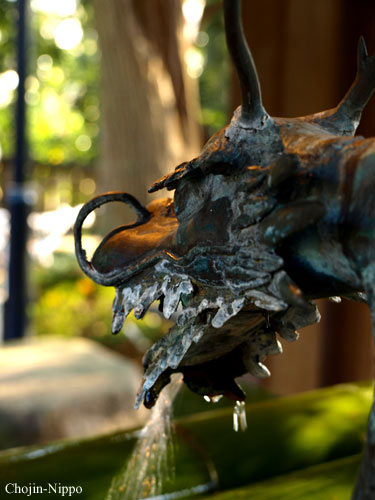 080106Dragon.jpg