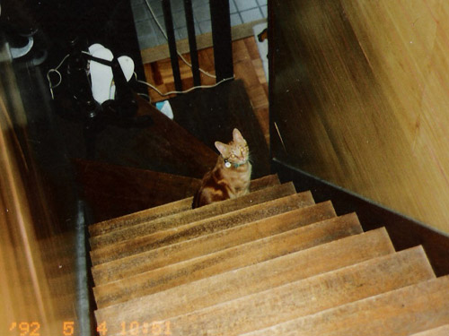 080129Chage04.jpg