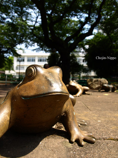 080730Kozou02.jpg