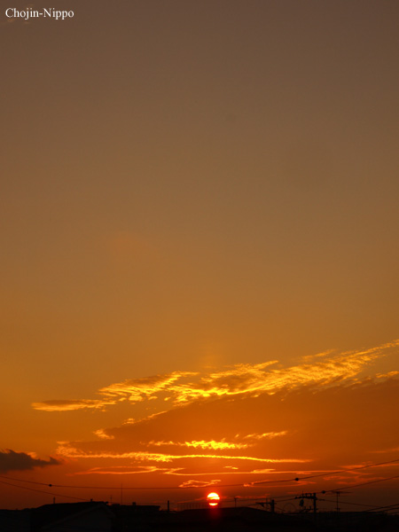 080924Tama03.jpg