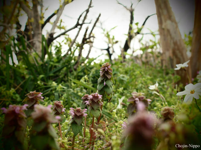090329LG01.jpg