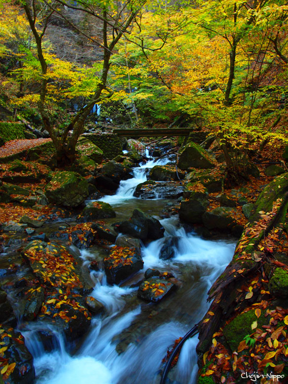 091119Fall02.jpg