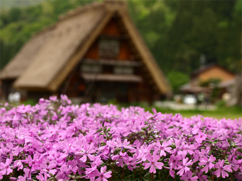 070523_Shirakawago_01.jpg