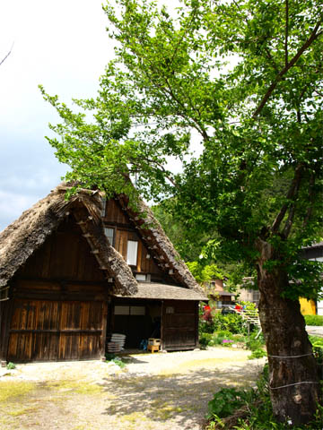 070523_Shirakawago_06.jpg