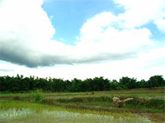 CIMG2373S.jpg