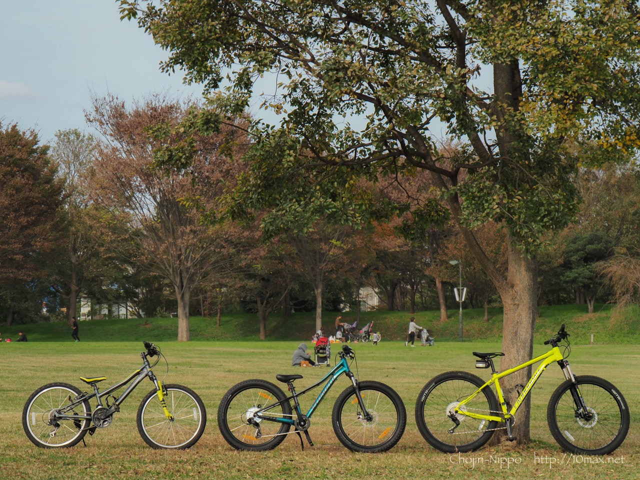 Specialized Riprock 24 Sagan Collection, Cannodale Cujo3