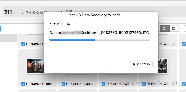 EASEUS Data Recovery Wizard　データ復旧ソフト　ファイル復旧ソフト　レビュー