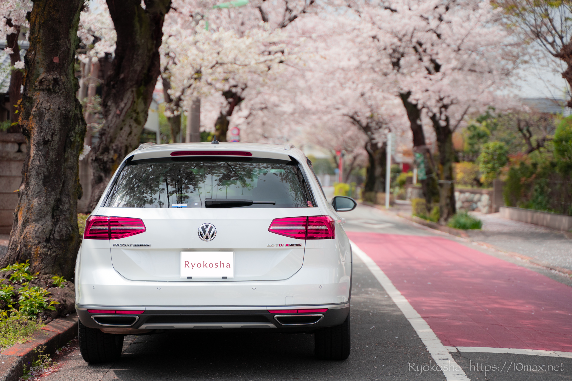 VW　パサートオールトラック　桜