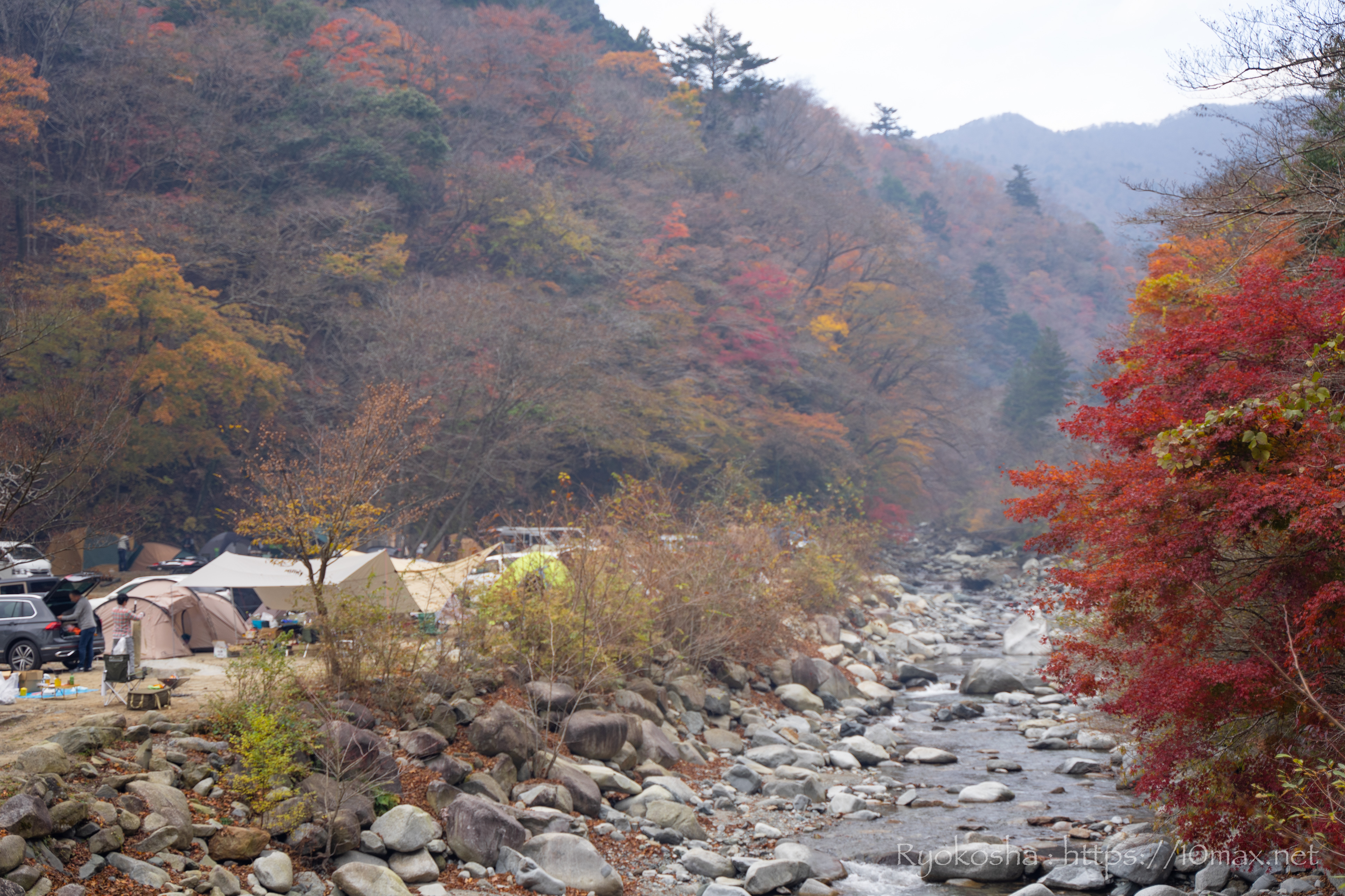 ウェルキャンプ西丹沢　中川沿い　Bゾーン　テントサイト　紅葉